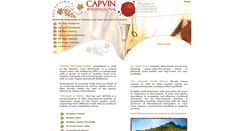 Desktop Screenshot of capvin.co.za